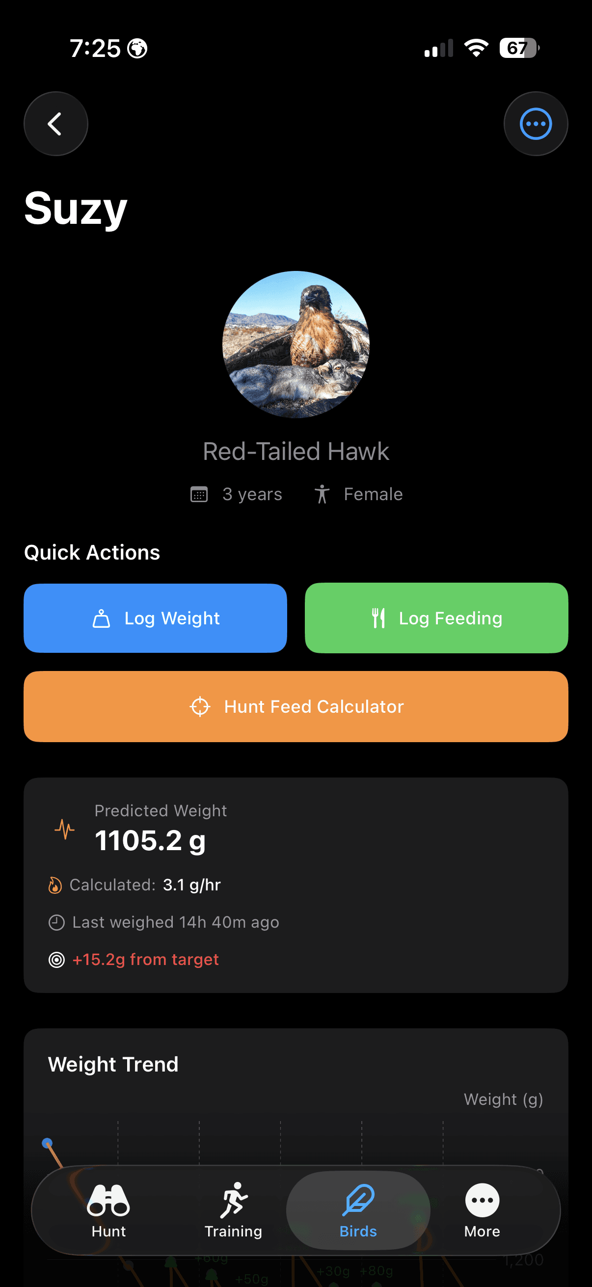 Pantalla de perfil de ave de FalconryLab mostrando especie, peso y estado